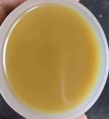 n-methyl-n-benzylaniline cas 614-30-2