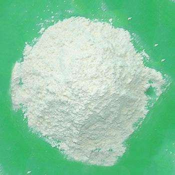 β-Galactosidase CAS 9031-11-2